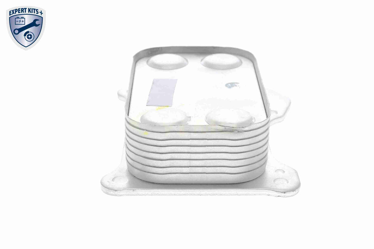 Oil Cooler, engine oil - V24-60-0020