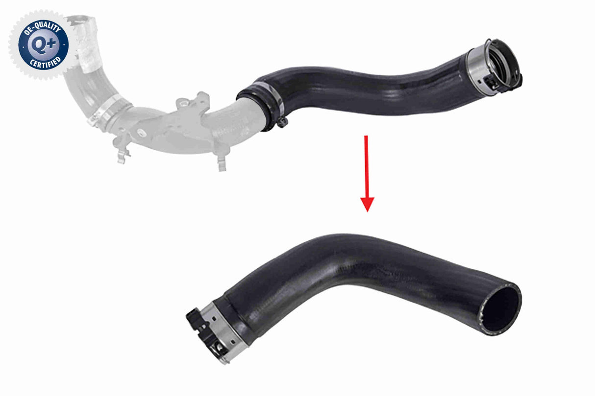 Charge Air Hose - V46-1725