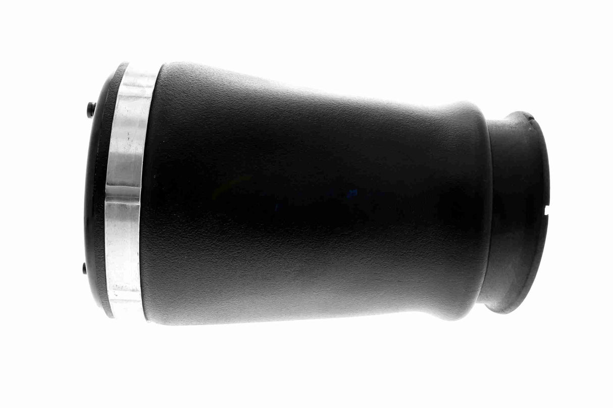 Air Suspension Strut - V20-50-0018-1