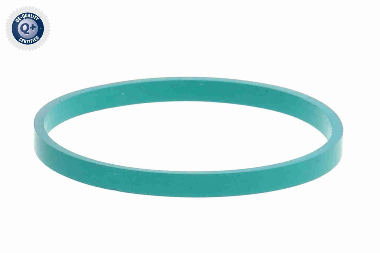 Throttle Body - V25-81-0013