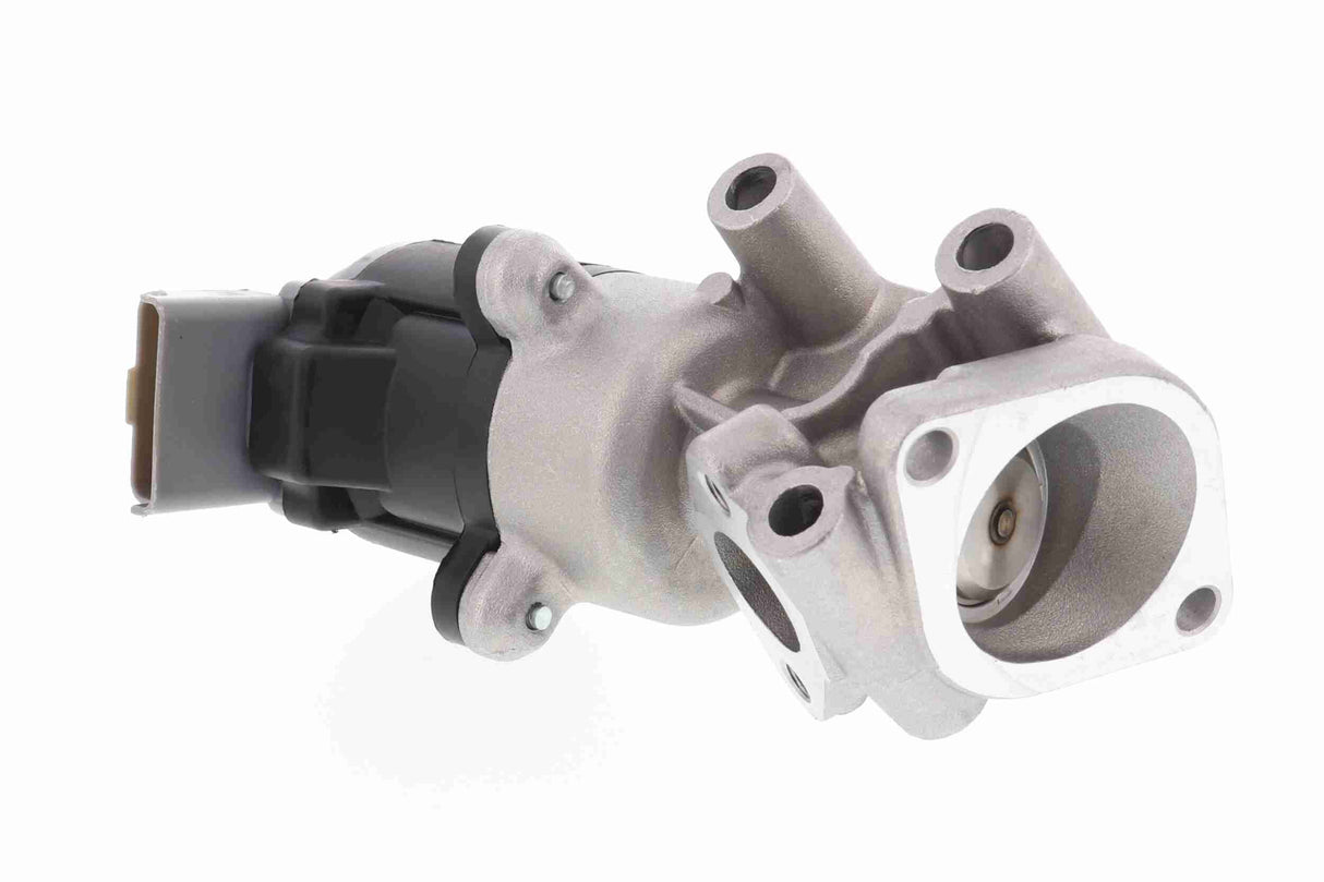 Valve, exhaust gas recirculation - V22-63-0003-1