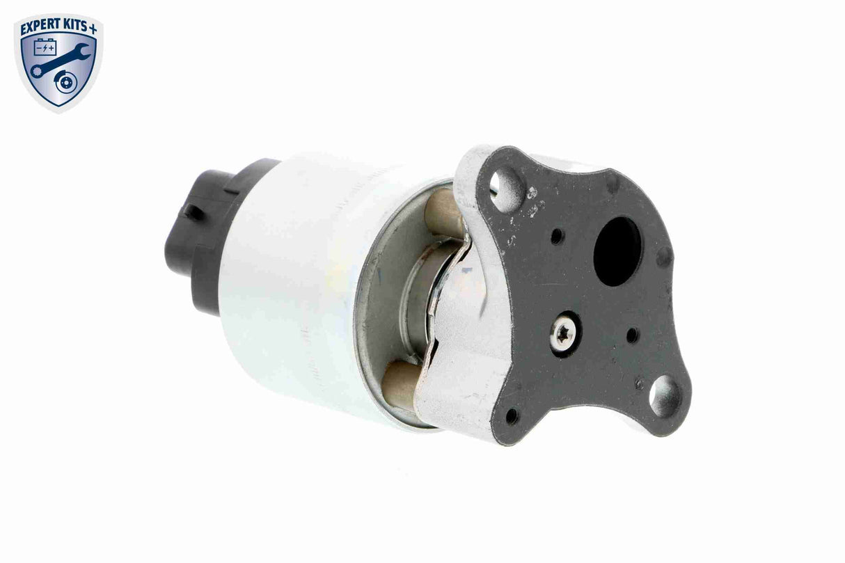 Valve, exhaust gas recirculation - V40-63-0001