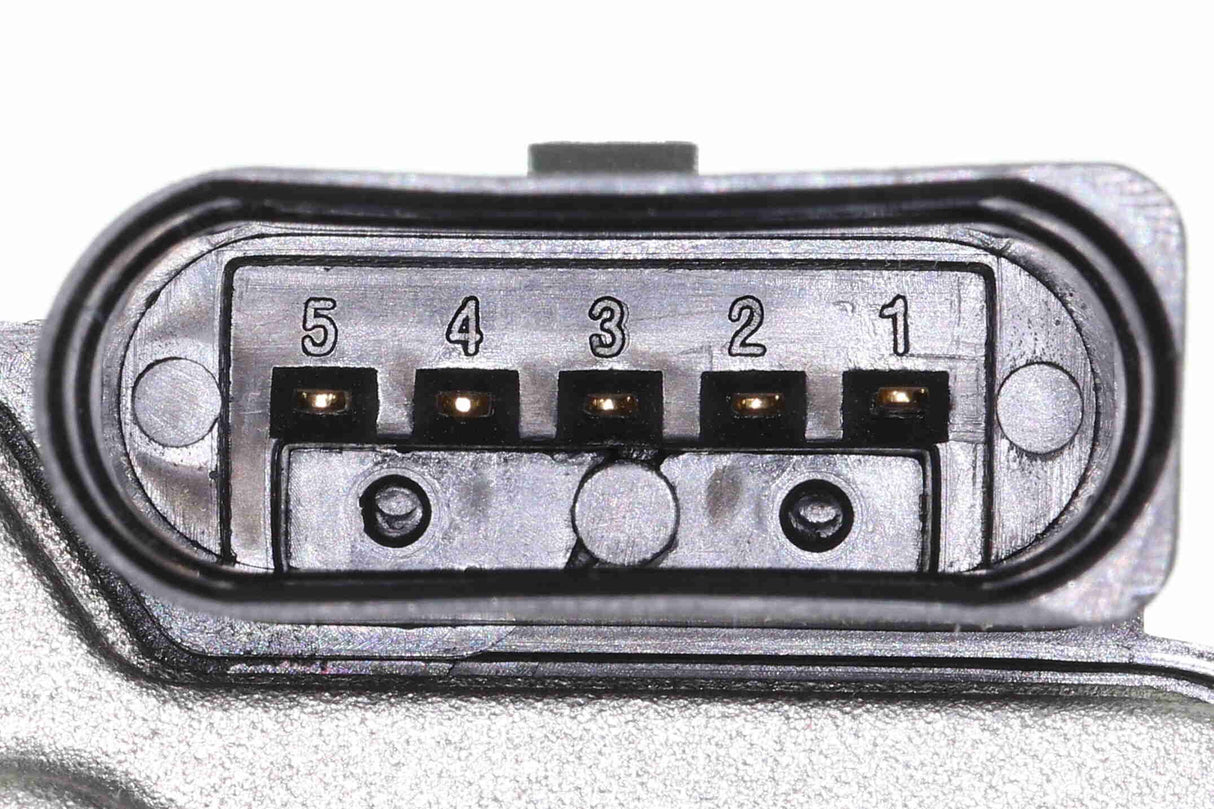 Throttle Body - V10-81-0084