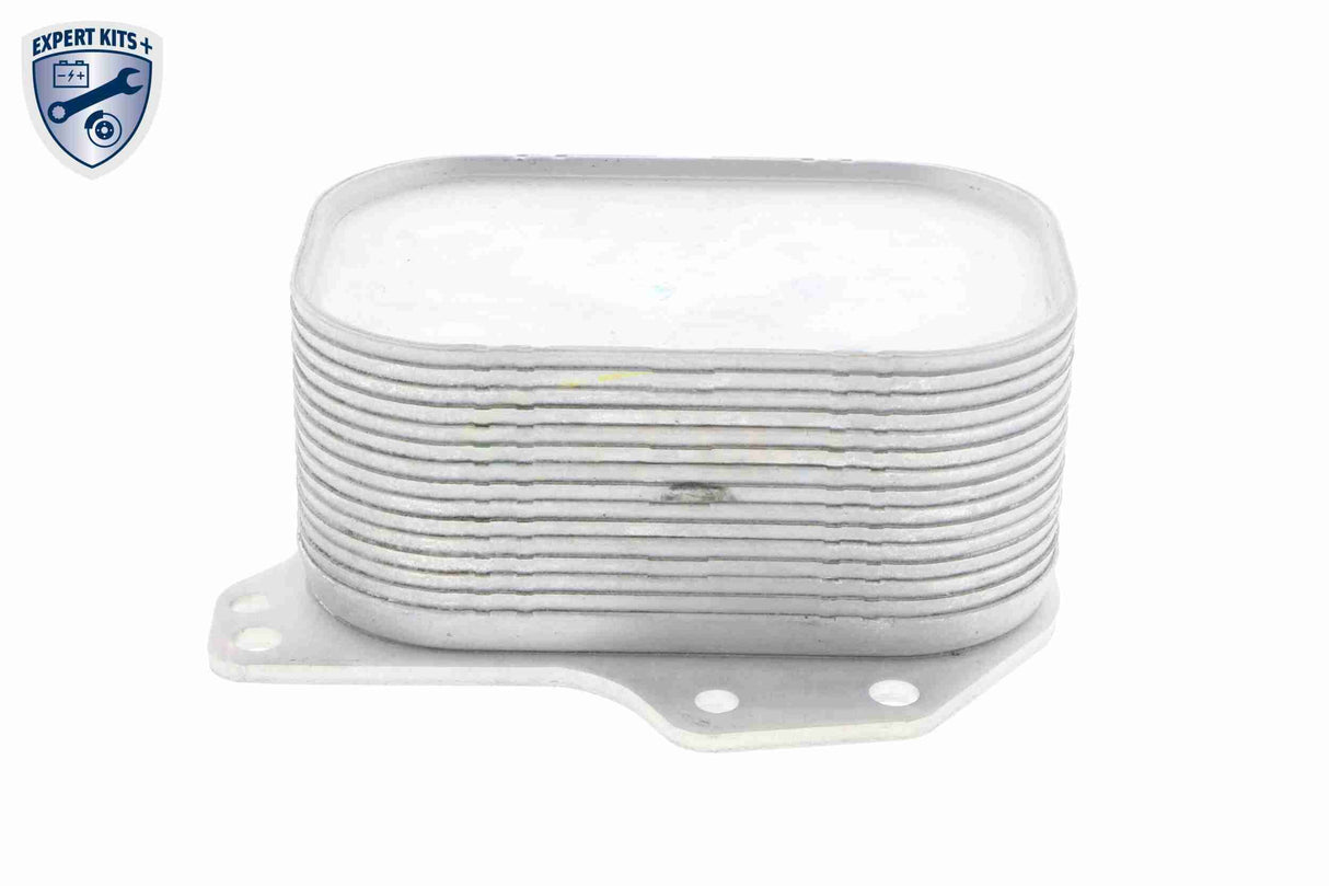 Oil Cooler, engine oil - V15-60-6063