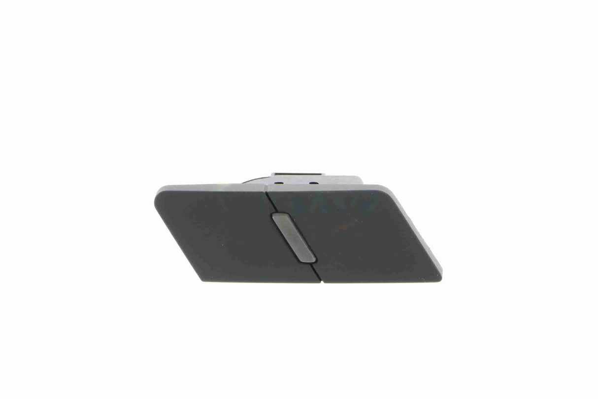 Switch, door lock system - V10-73-0009