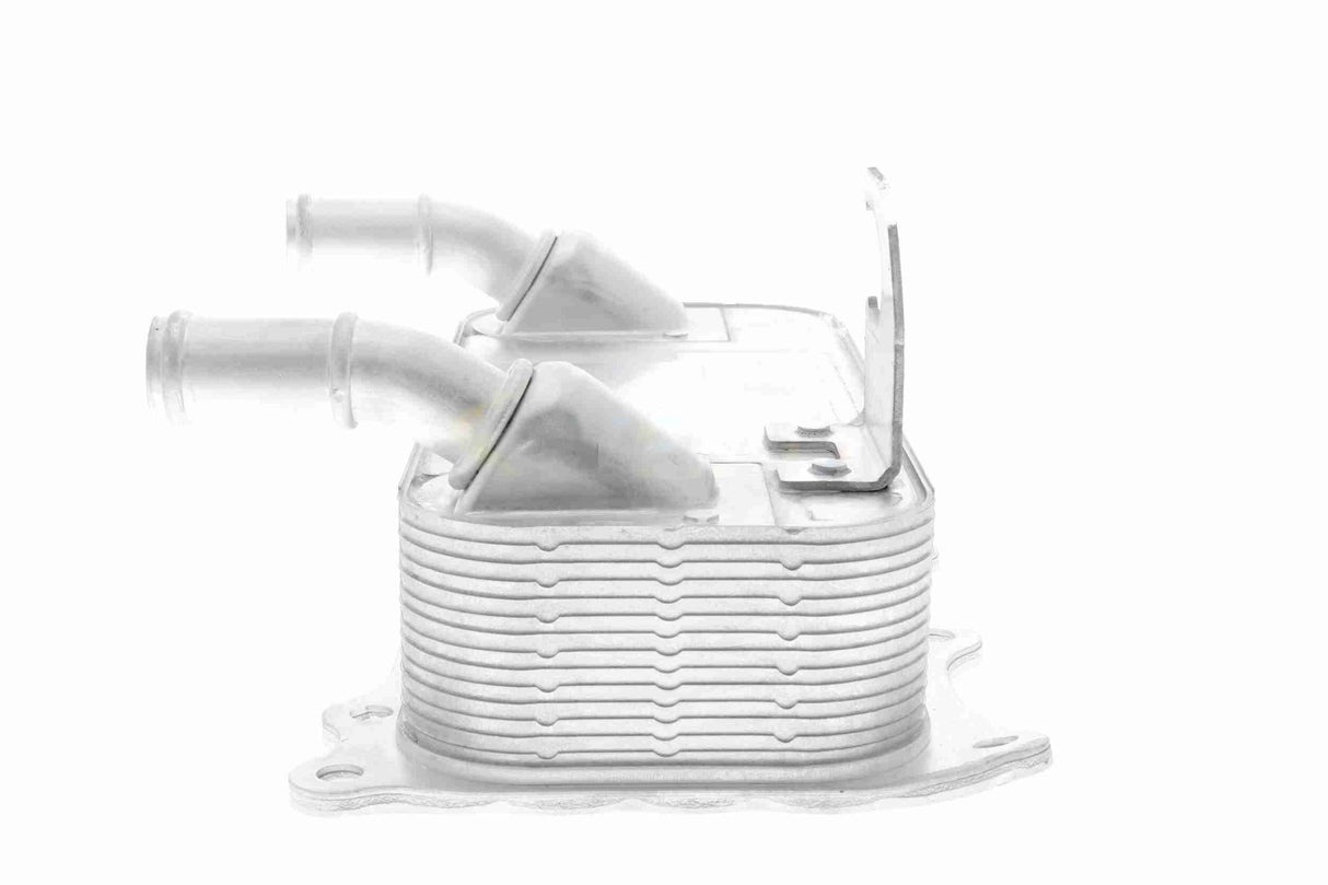 Oil Cooler, engine oil - V45-60-0010
