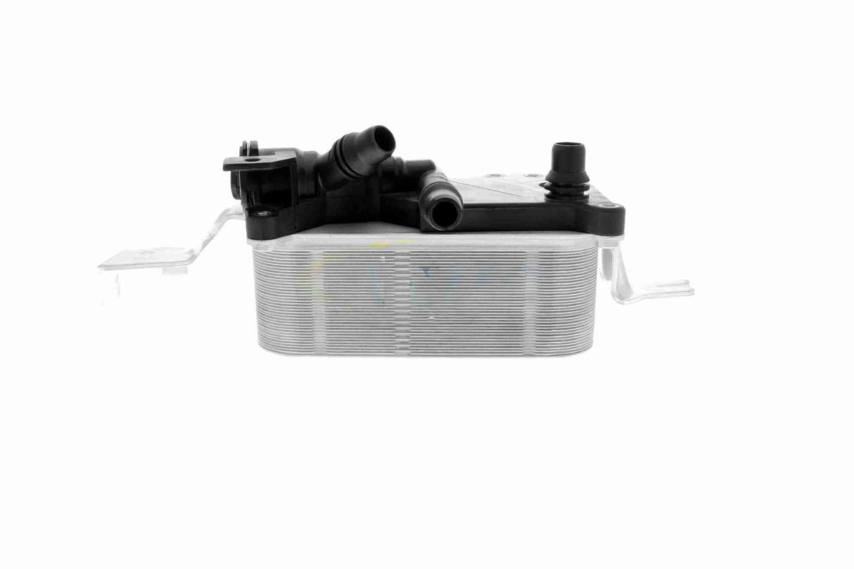 Oil Cooler, engine oil - V20-60-0058