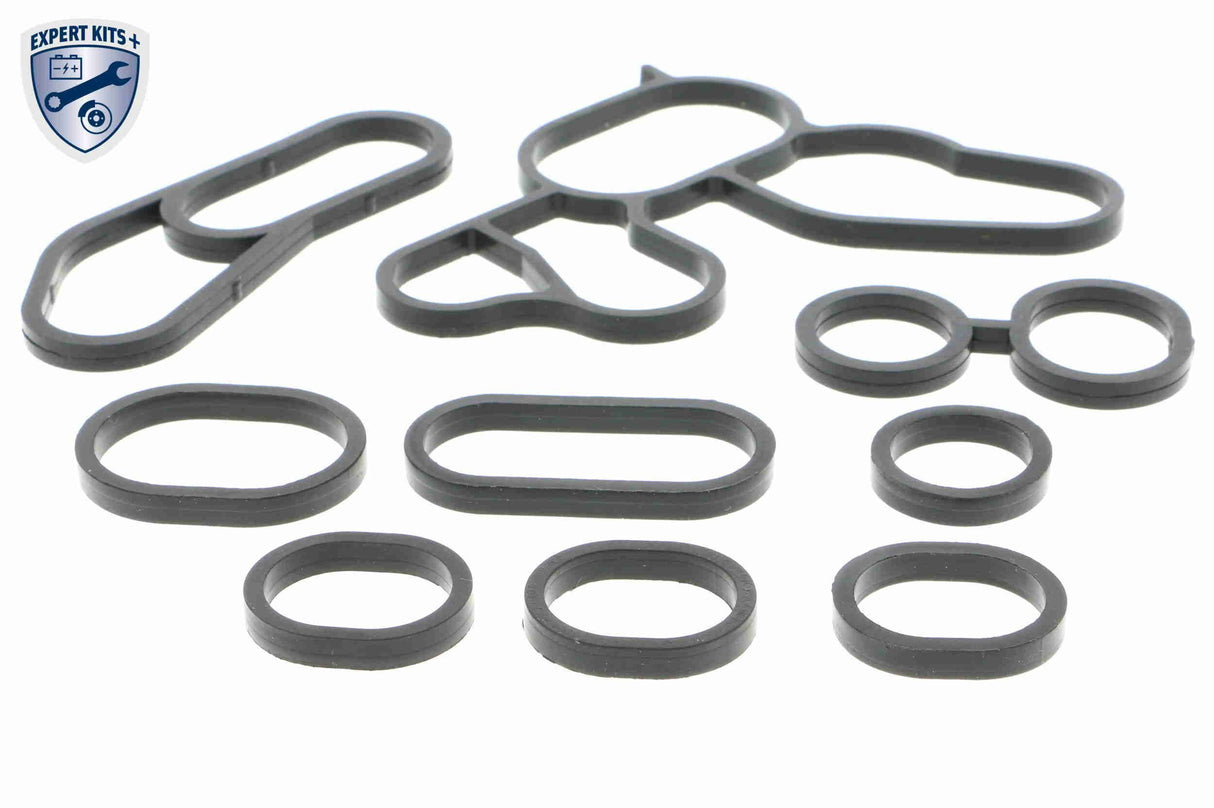 Oil Cooler, engine oil - V24-60-0001