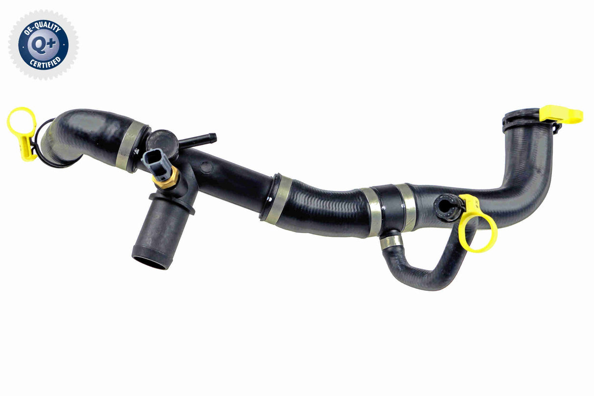 Radiator Hose - V41-0036