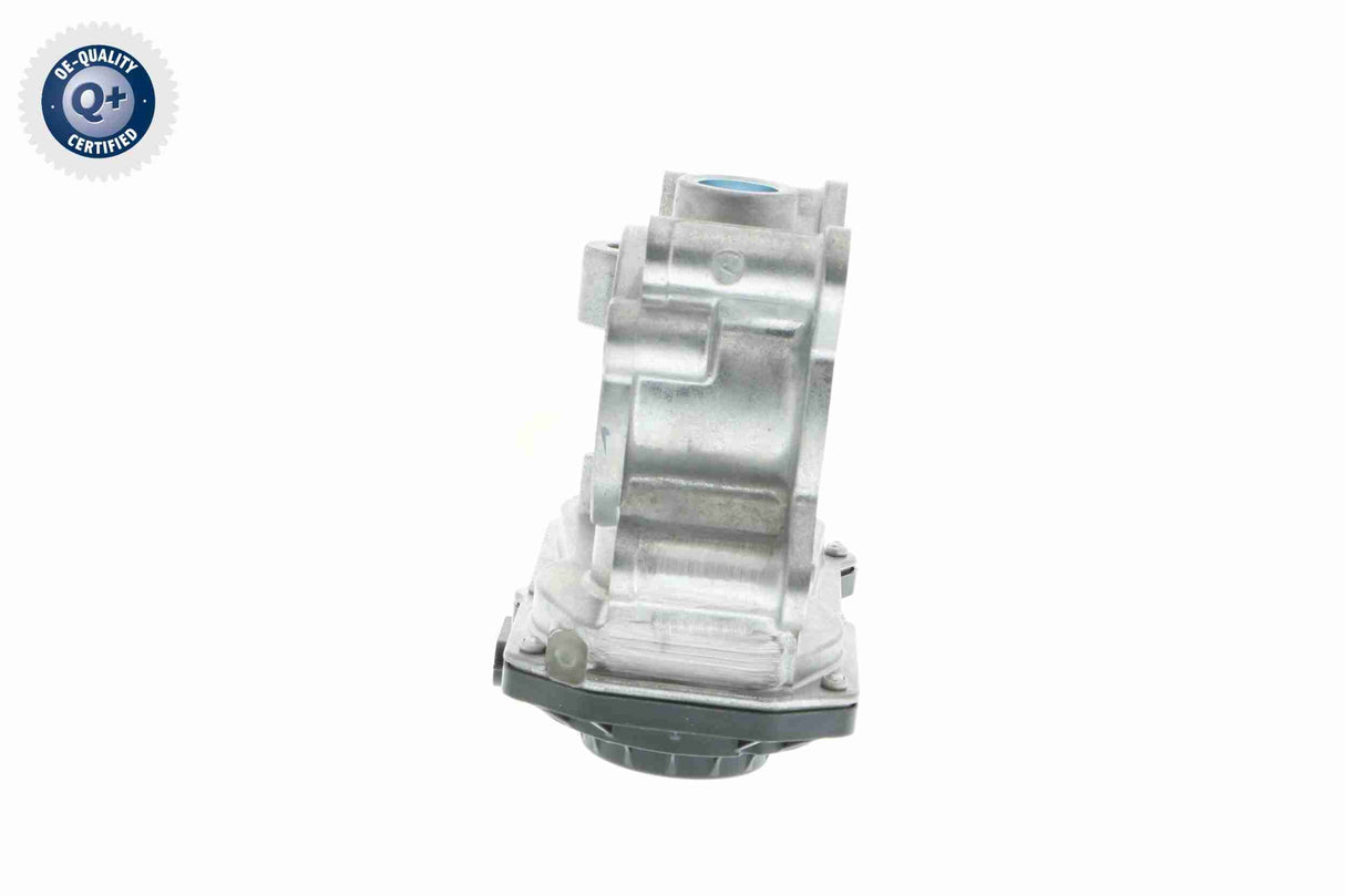 Throttle Body - V46-81-0002