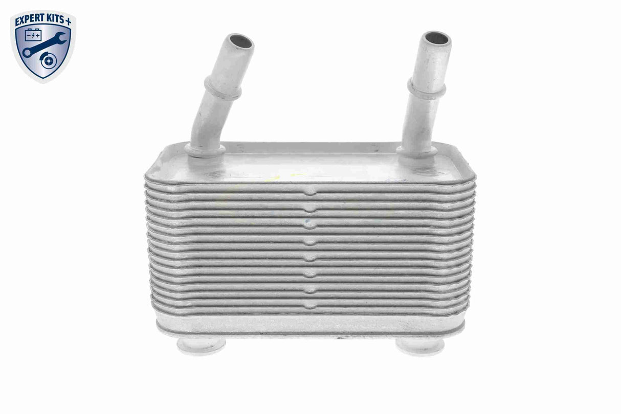 Oil Cooler, automatic transmission - V48-60-0025
