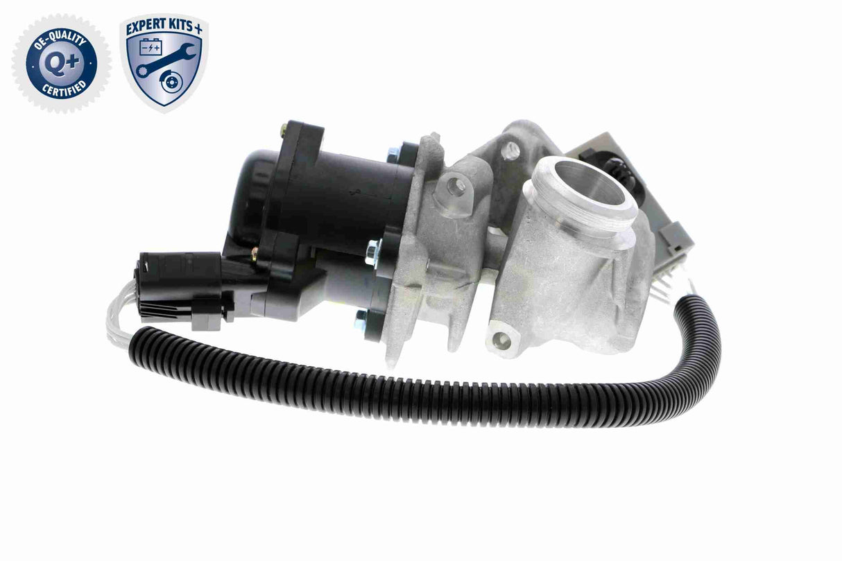 Valve, exhaust gas recirculation - V25-63-0009