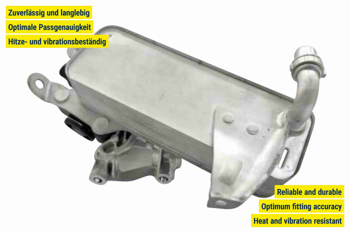 Oil Cooler, engine oil - V20-60-0010