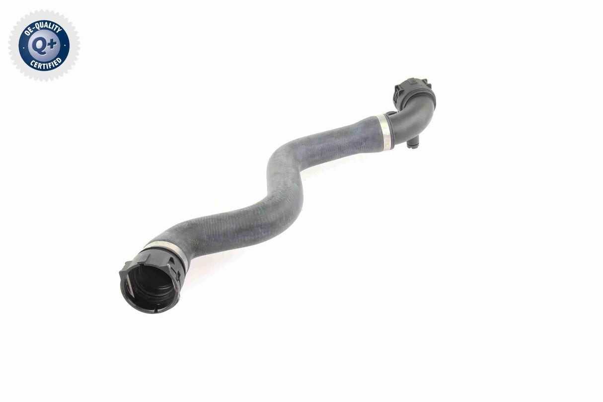 Radiator Hose - V20-0864