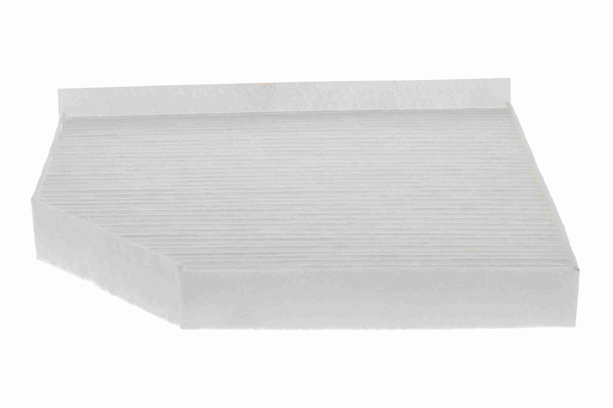 Filter, cabin air - V10-30-1004