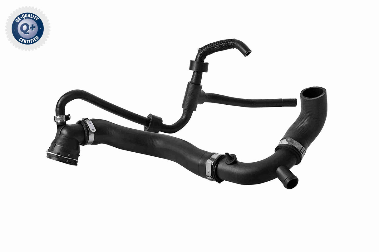 Radiator Hose - V10-8882
