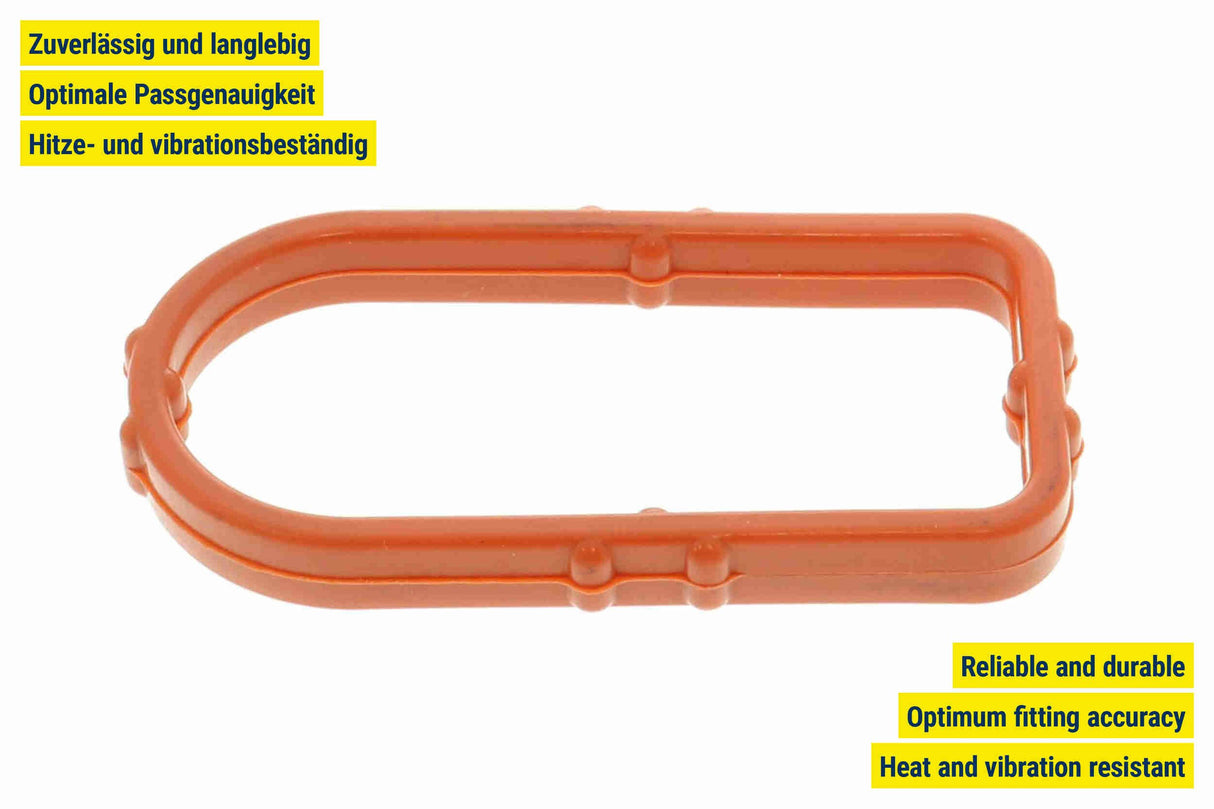 Gasket, oil cooler - V15-60-96065
