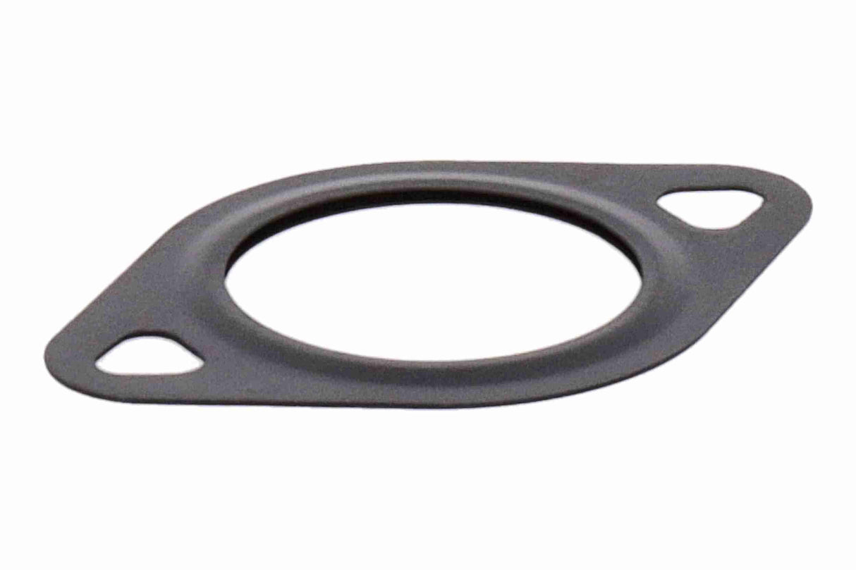 Gasket, EGR valve - V10-99-0007