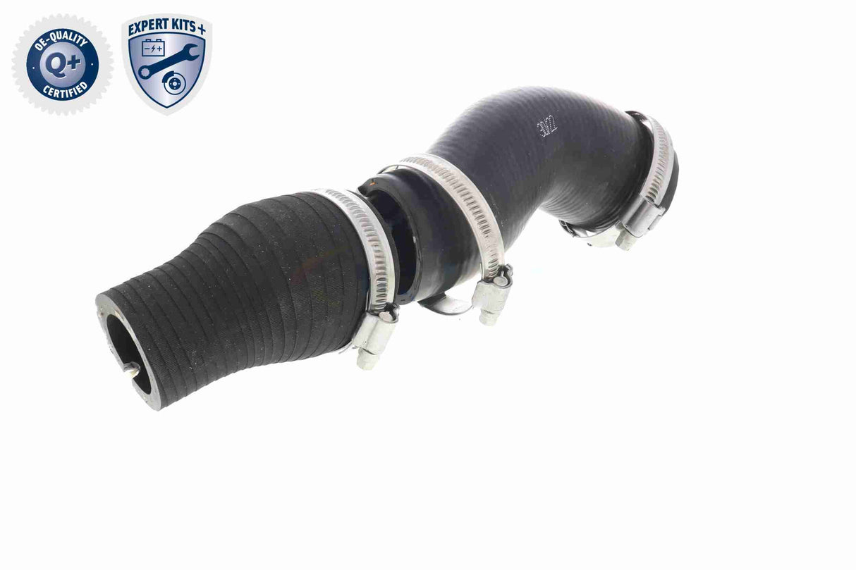 Charge Air Hose - V42-0598