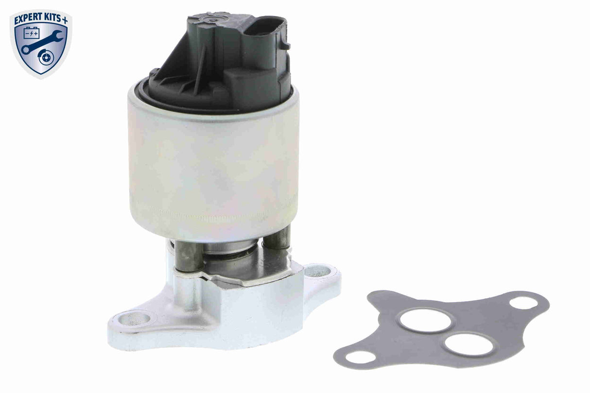 Valve, exhaust gas recirculation - V40-63-0004