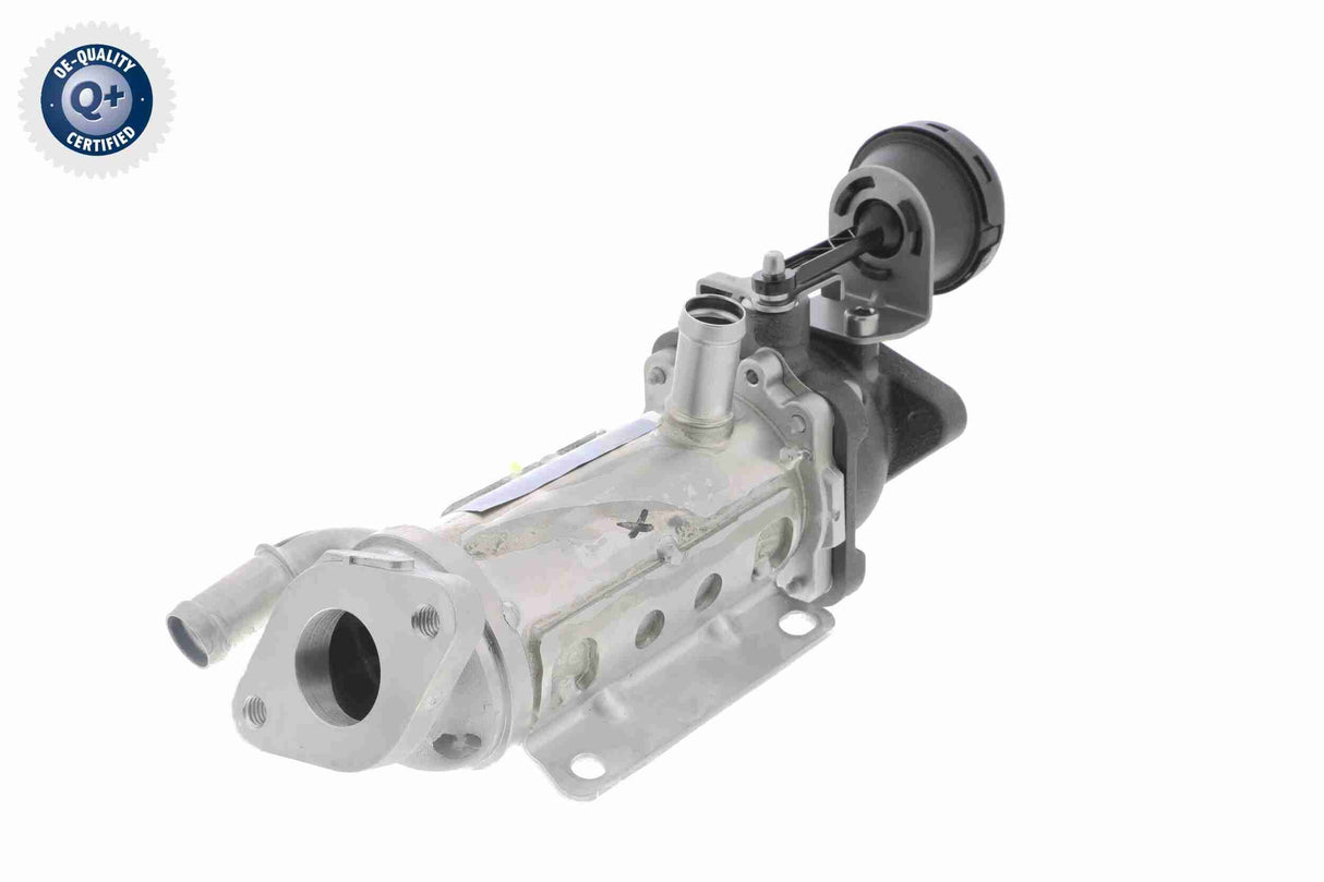 Cooler, exhaust gas recirculation - V42-63-0015