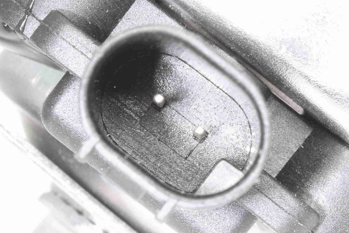 Signal Horn - V20-77-0005