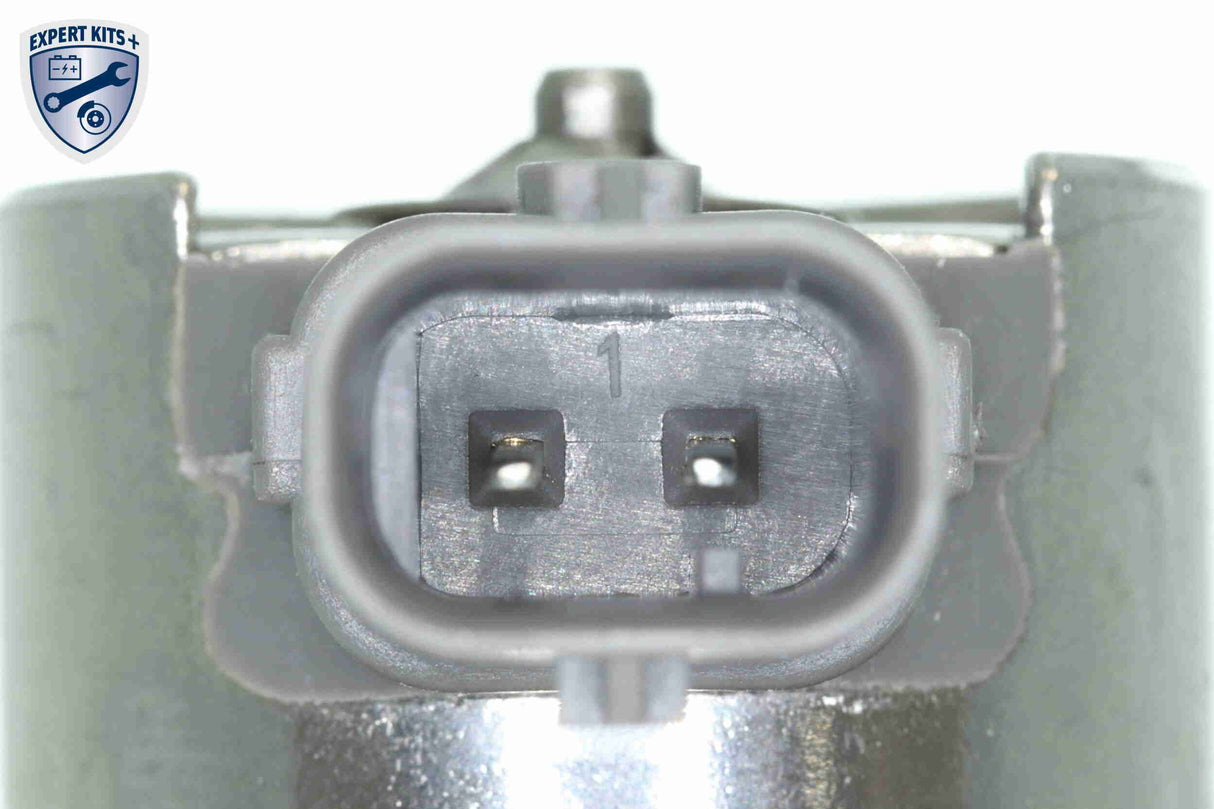 High Pressure Pump - V20-25-0015-1