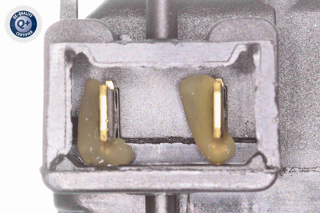 Tailgate Lock - V40-85-0065