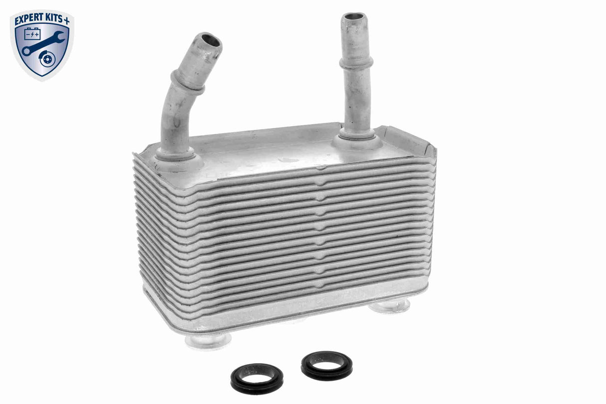 Oil Cooler, automatic transmission - V20-60-0003