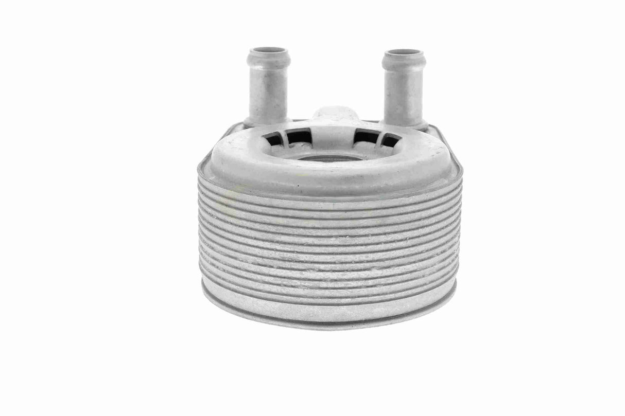 Oil Cooler, engine oil - V25-60-0043
