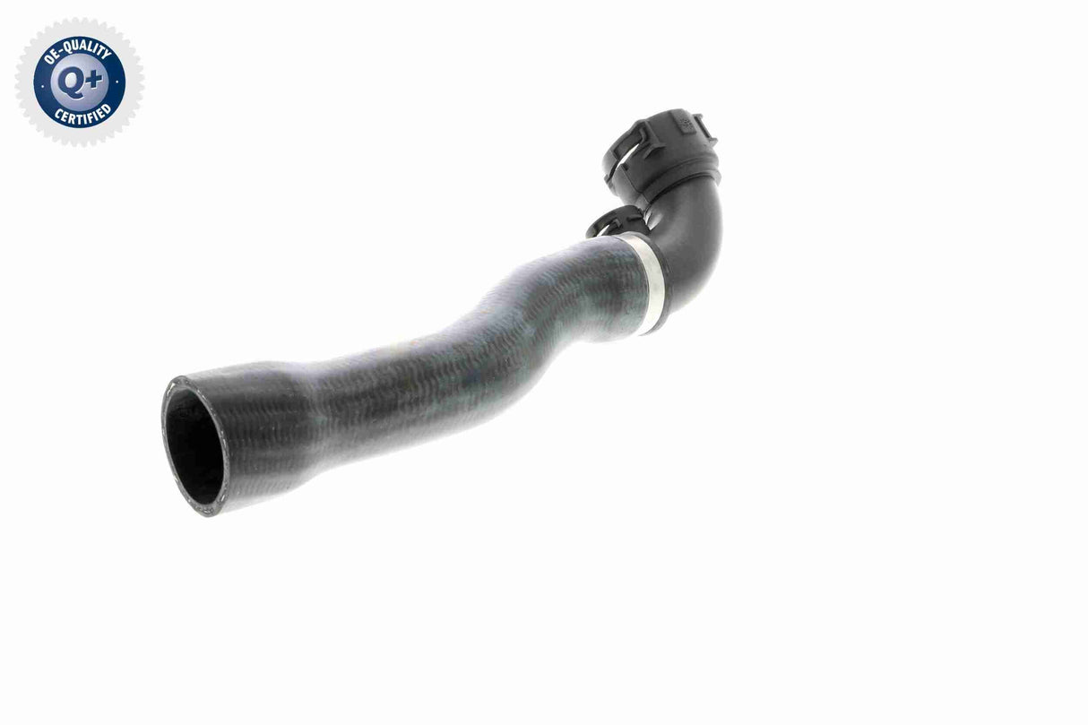 Radiator Hose - V20-1925