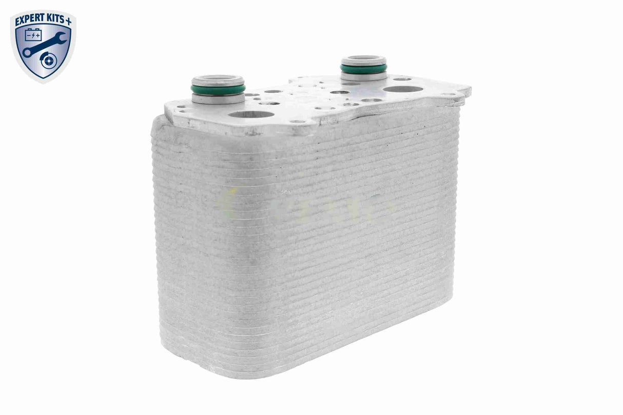 Oil Cooler, automatic transmission - V45-60-0001
