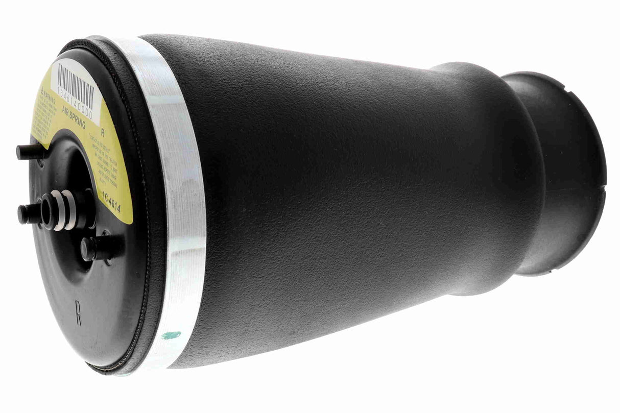 Air Suspension Strut - V20-50-0019-1