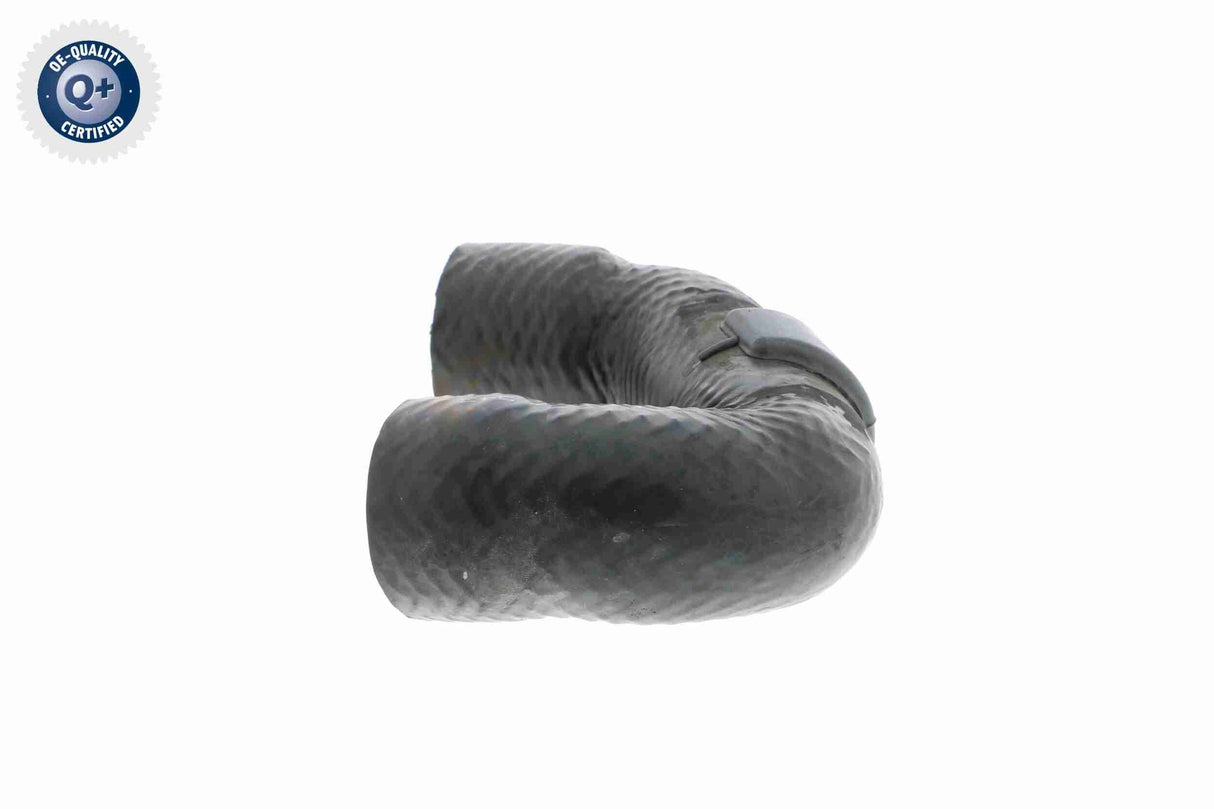 Radiator Hose - V20-2410