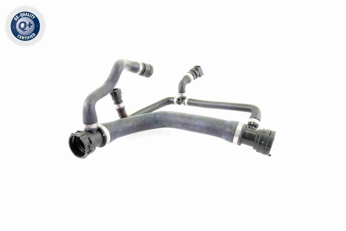 Radiator Hose - V20-0874