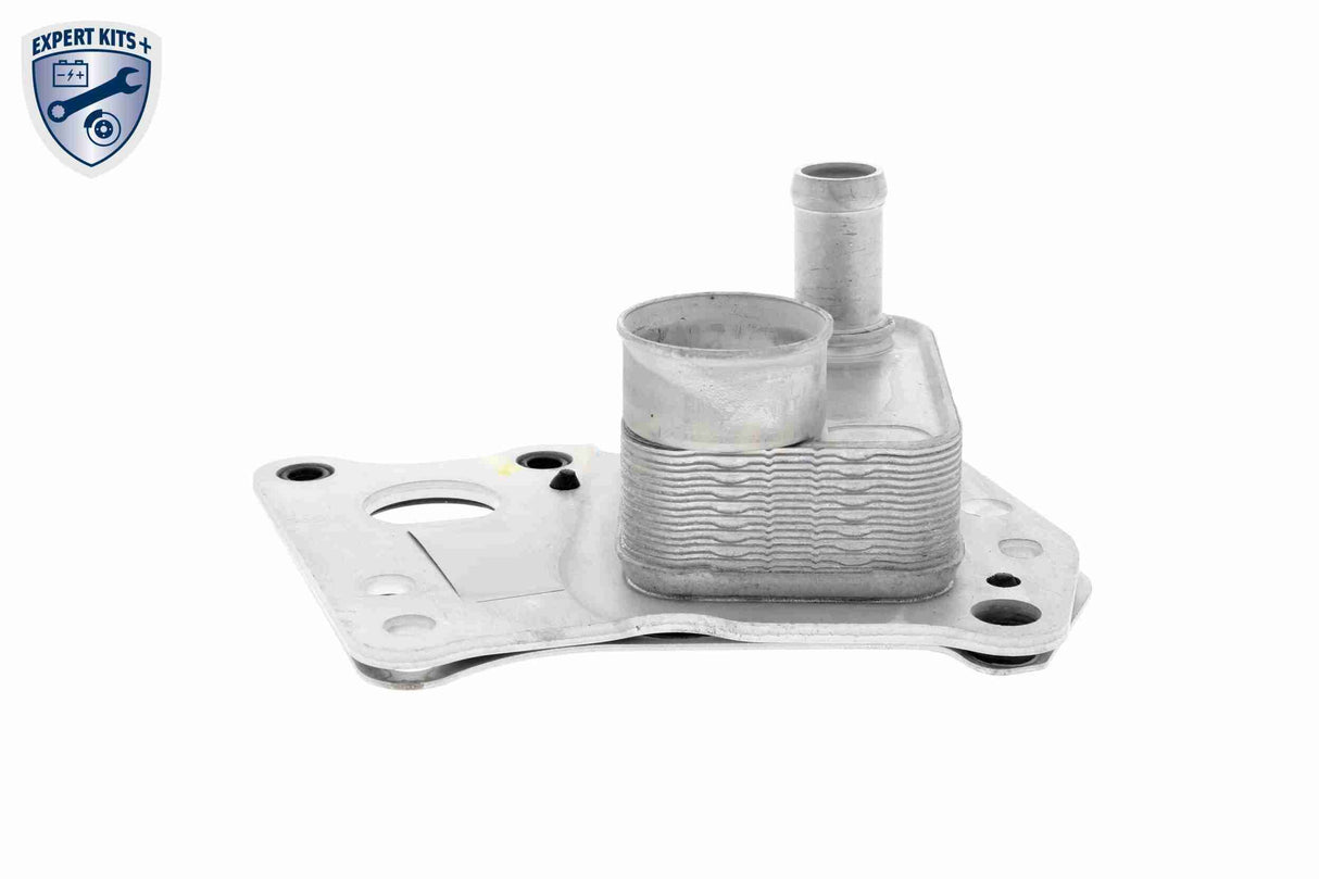 Oil Cooler, engine oil - V30-60-0008