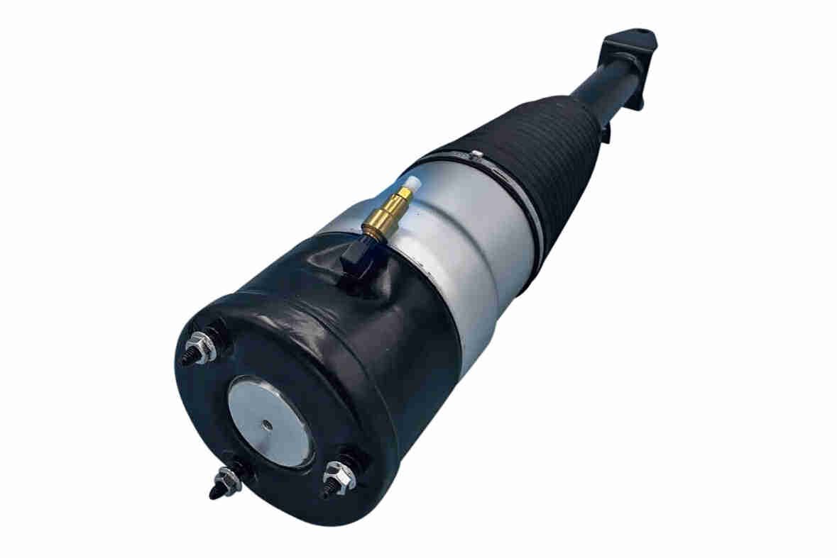 Air Suspension Strut - V58-50-0003