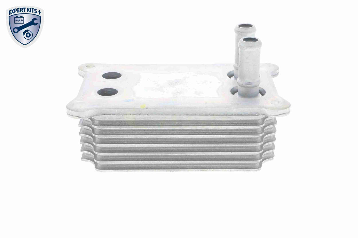 Oil Cooler, engine oil - V25-60-0031