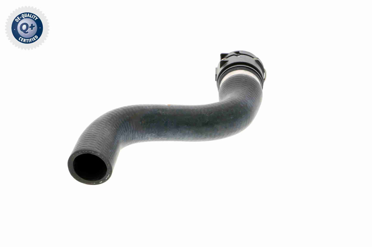 Radiator Hose - V48-0147
