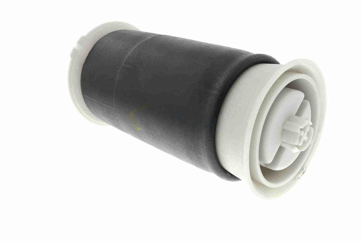 Air Suspension Strut - V20-50-0007
