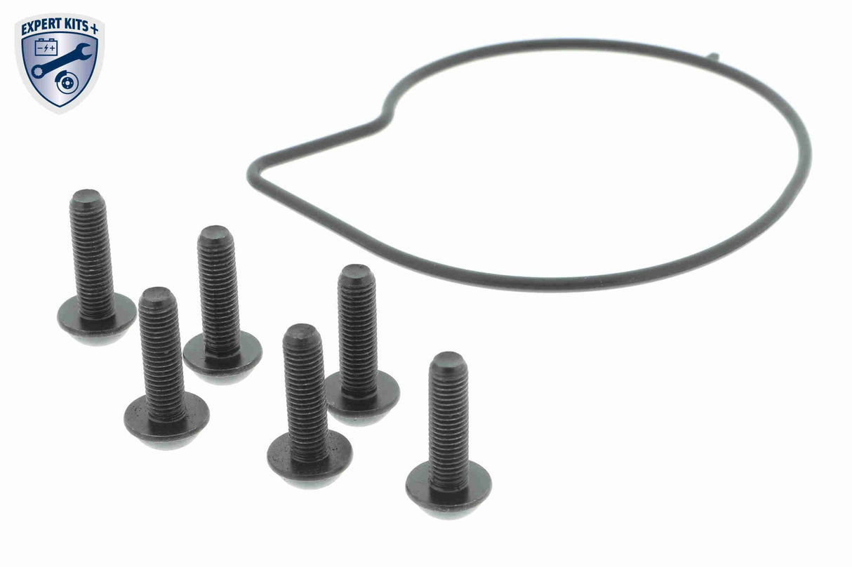 Water Pump, engine cooling - V95-50014