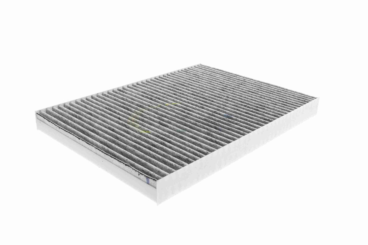 Filter, cabin air - V10-31-1013