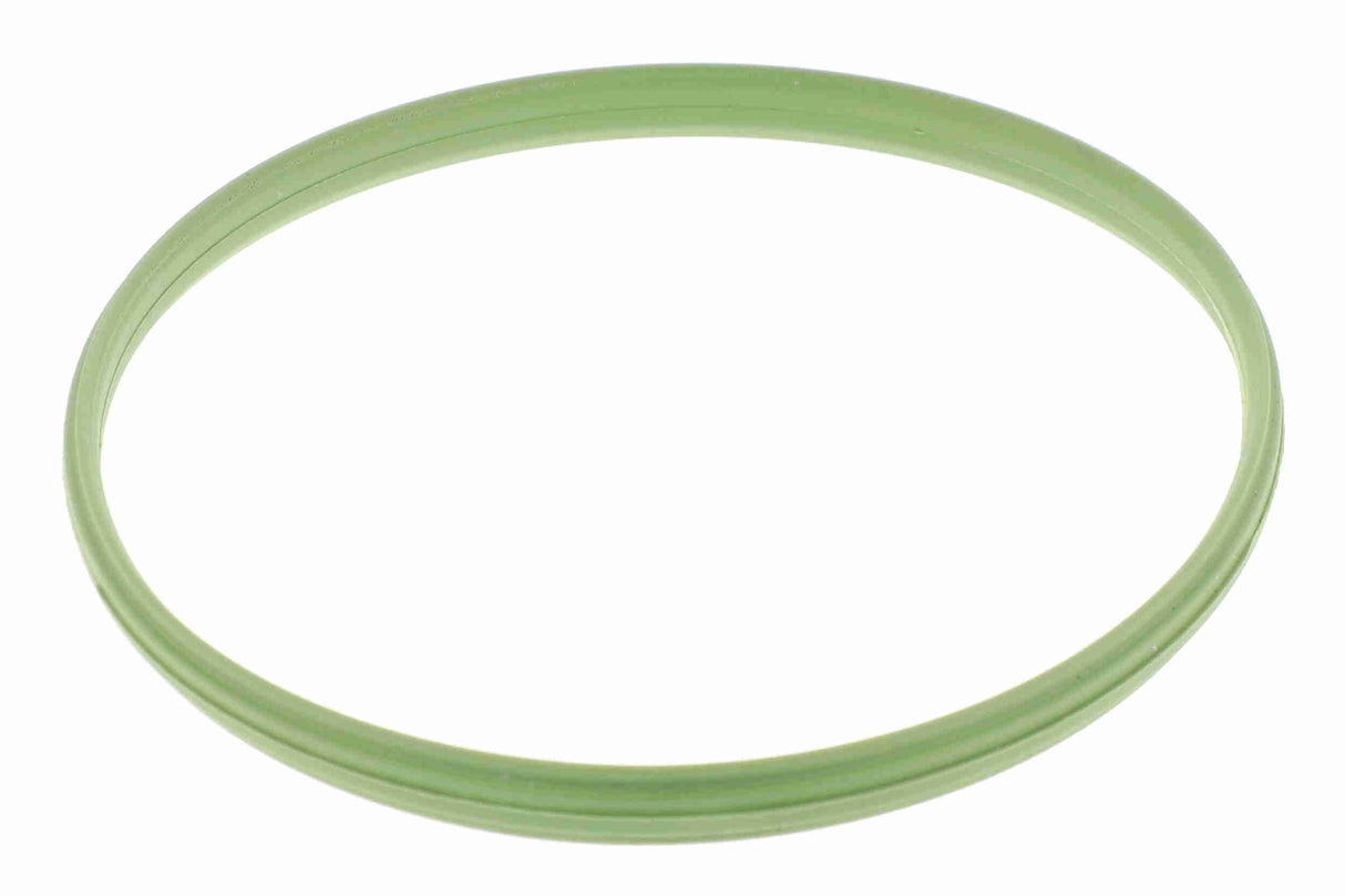 Gasket, throttle body - V10-81-0123