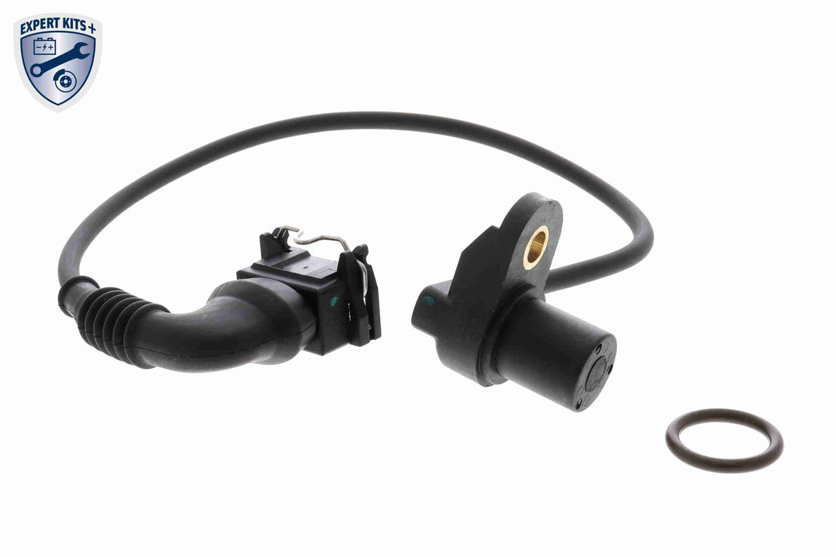 Sensor, camshaft position - V20-72-0504