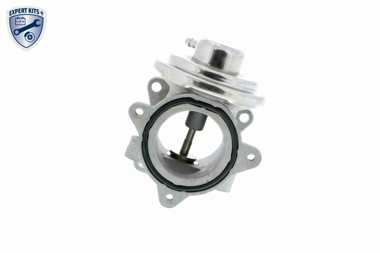 Valve, exhaust gas recirculation - V10-63-0031