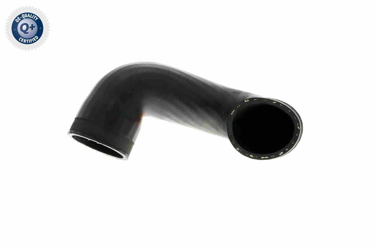 Charge Air Hose - V10-3813