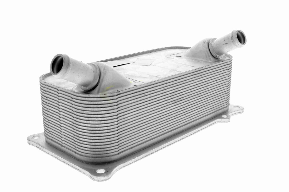 Oil Cooler, engine oil - V45-60-0006