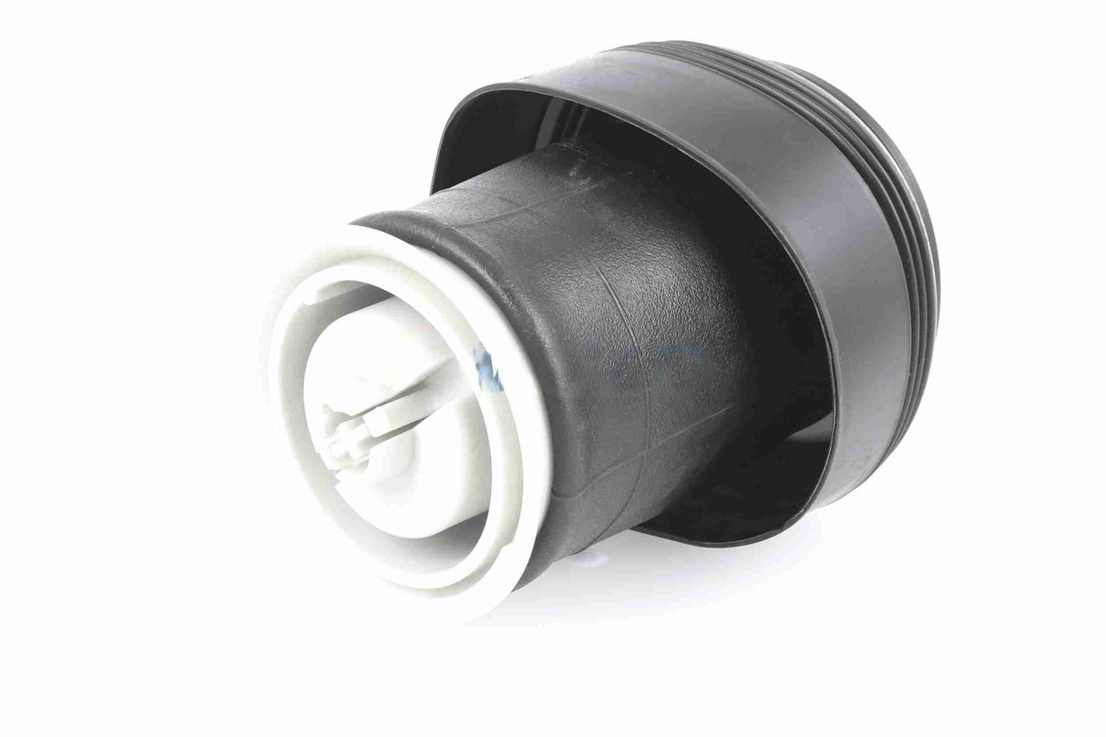 Air Suspension Strut - V20-50-0006-1