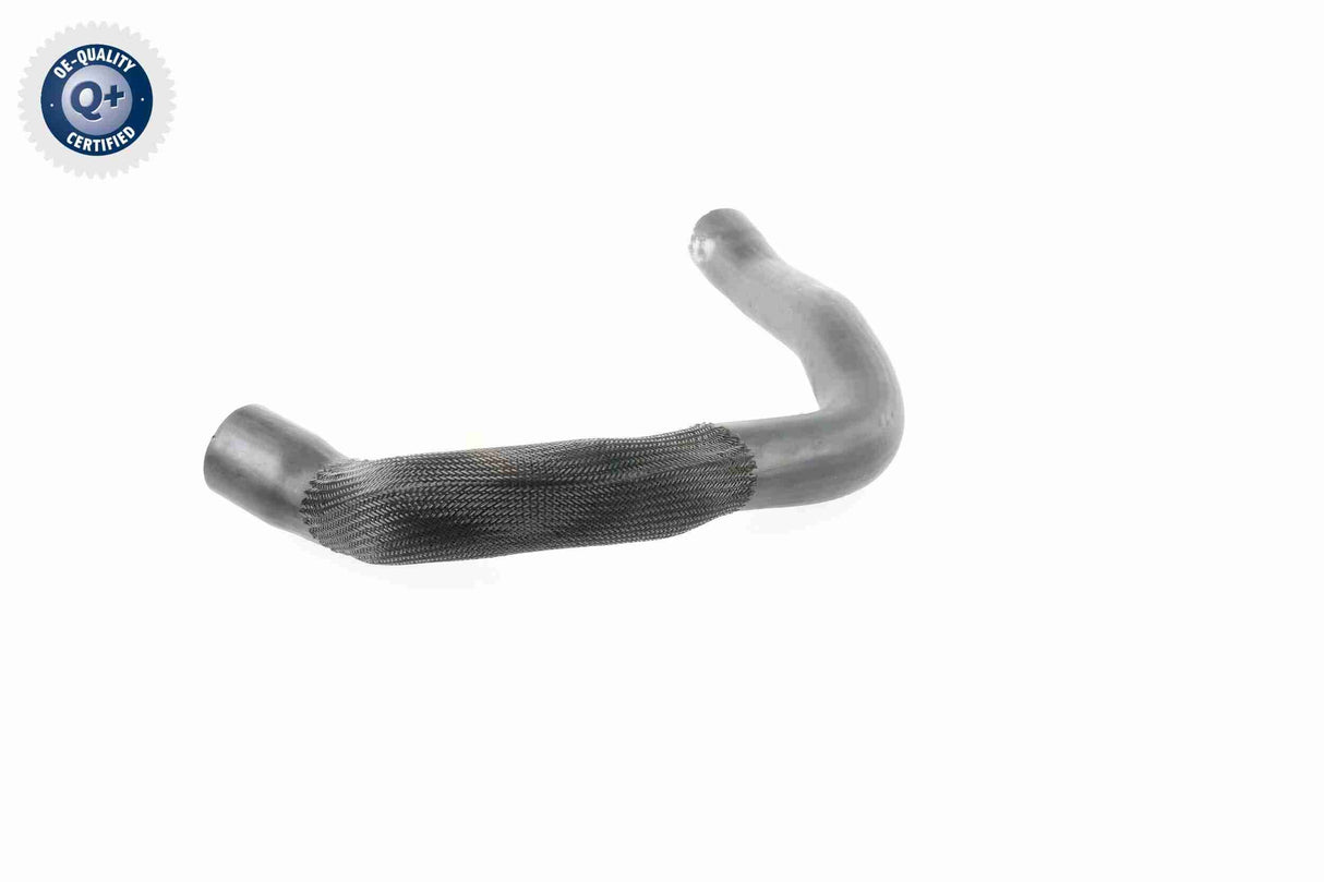 Charge Air Hose - V24-0679