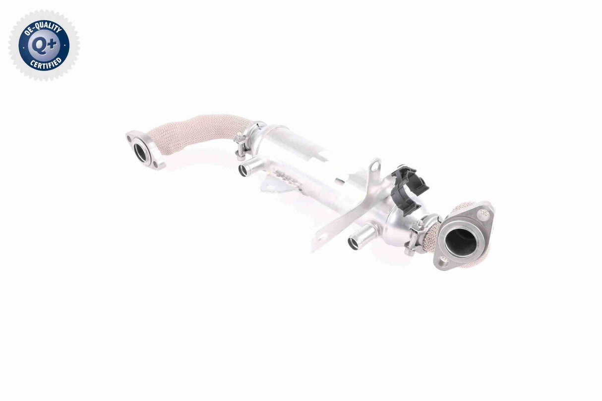 Cooler, exhaust gas recirculation - V24-63-0020